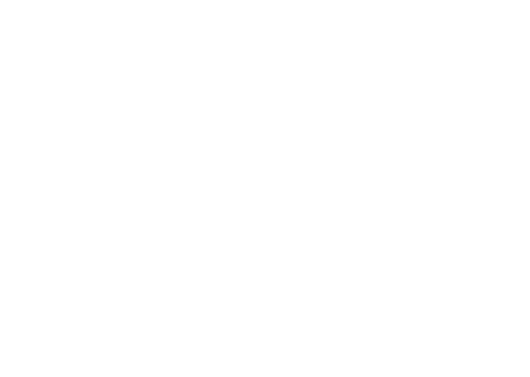 Bibi 72 Akkufutár Kft.